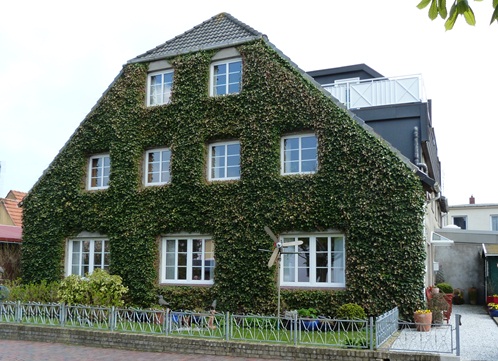 Ferienwohnungen im Spatzenhus auf Wangerooge